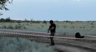 Пастух погиб при взрыве снаряда в Волгоградской области