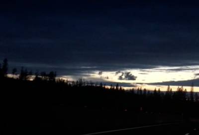 Видео: в небе над Петербургом заметили «облачного» лебедя