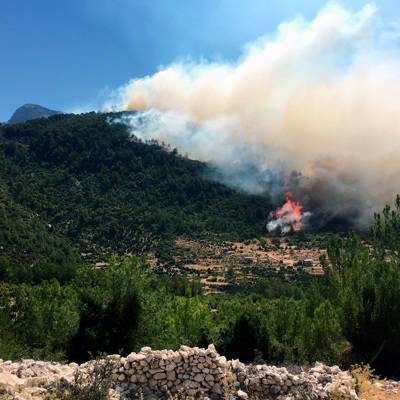 Три пожарных самолета и шесть вертолётов тушат лесной пожар на острове Родос