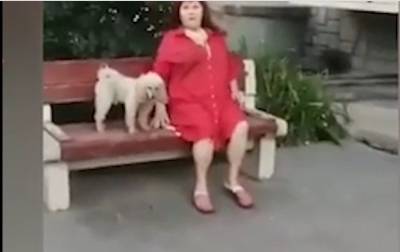 «На этой скамейке сидят только старушки»: липчанка матом выгнала детей с лавочки (видео)