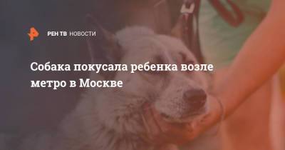 Собака покусала ребенка возле метро в Москве