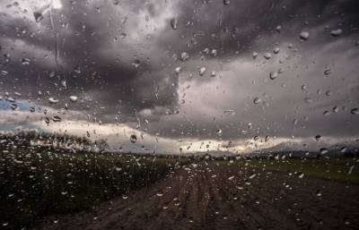 Циклон Guido принесет ливни, грозы и шквалистый ветер в Тверскую область
