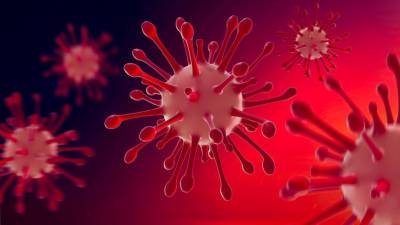 В Конгрессе США представили доклад об утечке коронавируса из лаборатории в Ухане