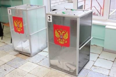 В Москве началась регистрация на дистанционное электронное голосование