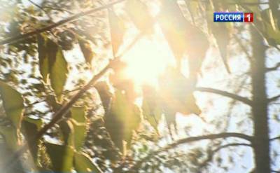 В Ростовской области в ближайшие дни ожидается до +41 градуса жары