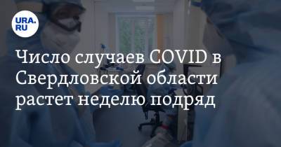 Число случаев COVID в Свердловской области растет неделю подряд