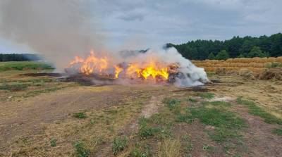 В Новогрудском районе из-за детской шалости с огнем сгорела 60-тонная скирда сена