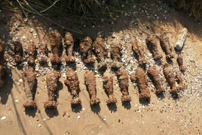 На берегу Азовского моря нашли сразу 24 мины