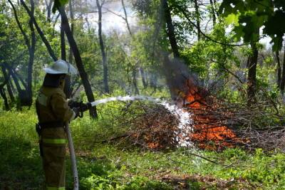 Костромские парадоксы: тушению пожара в Кологривском лесу помешал дождь