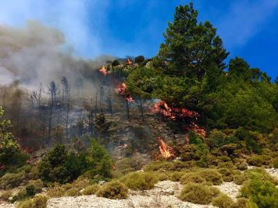 Уральские туристы не отказываются от поездок в Турцию, несмотря на лесные пожары