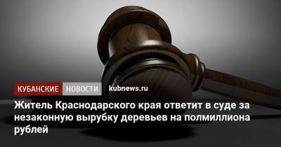 Житель Краснодарского края ответит в суде за незаконную вырубку деревьев на полмиллиона рублей