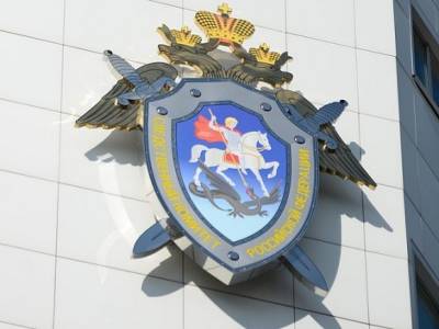 В СК РФ прокомментировали информацию о замеченном в Москве «орском маньяке»