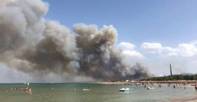 Масштабные лесные пожары вспыхнули в Италии: огонь выгнал людей с пляжей (ФОТО, ВИДЕО)