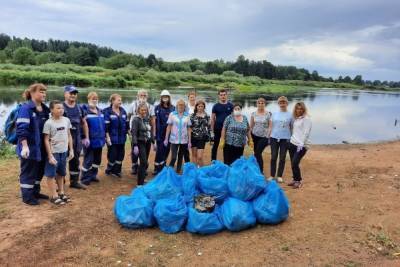 Волонтеры собрали 17 мешков мусора на берегах реки Мологи