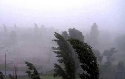 На Закарпатье пронесся мощный ураган: вырывал деревья с корнем и сносил крыши