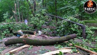 Трагедия во Львове: в парке на молодую пару упало дерево и фонарь — погиб курсант Национальной академии сухопутных войск