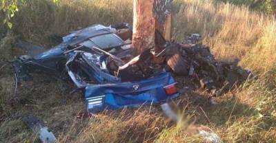 В Белгородской области BMW X5 на скорости влетел в дерево, три человека погибли