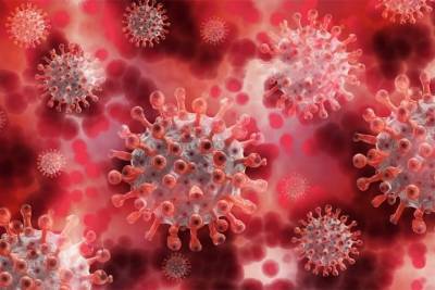 Ученые нашли причины невосприимчивости некоторых людей к новому коронавирусу
