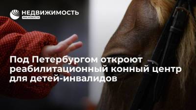 Под Петербургом откроют реабилитационный конный центр для детей-инвалидов