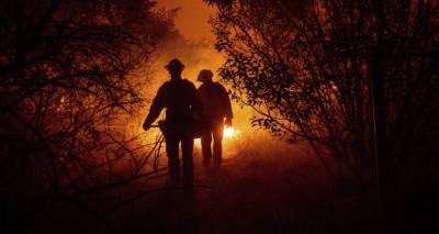 Пожар Dixie в Калифорнии охватил площадь в 100 тысяч гектаров