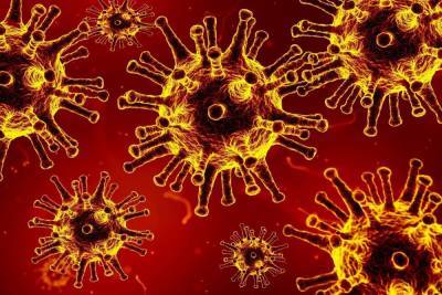 За сутки в Пензе зарегистрировано 205 новых случаев коронавируса
