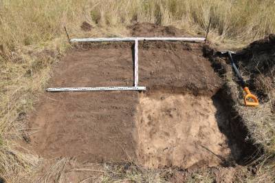 Археологи в Липецкой области обнаружили погребение новокаменного века