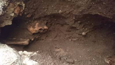 В купеческом доме под Новгородом нашли черепа и потайную комнату