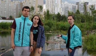 Партия «Новые люди» просит обратить внимание властей на болото в Сургуте