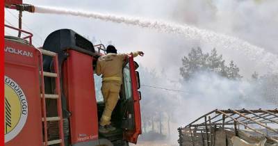 В Турции рассказали о количестве потушенных пожаров