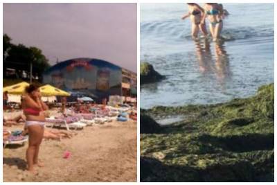 Новая напасть обрушилась на украинский курорт после медуз, кадры: отдых испорчен