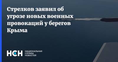 Стрелков заявил об угрозе новых военных провокаций у берегов Крыма