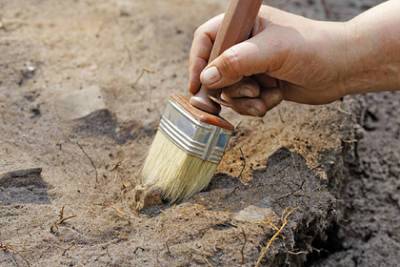 Археологи нашли останки мамонтов под Брянском