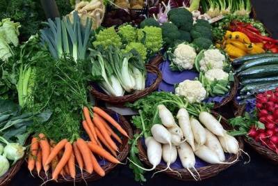 Морковь за 30 рублей можно будет купить на пяти спецярмарках в Казани