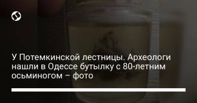 У Потемкинской лестницы. Археологи нашли в Одессе бутылку с 80-летним осьминогом – фото
