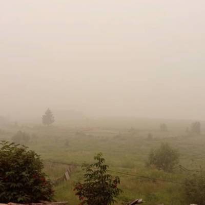 Солнце "исчезло" в трёх районах Якутии из-за густого дыма от лесных пожаров