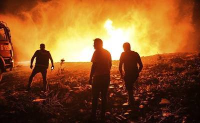 Türkiye: кто поджигает леса в Турции?