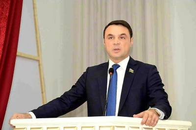Депутат Эльданиз Салимов исключен из рядов ПЕА