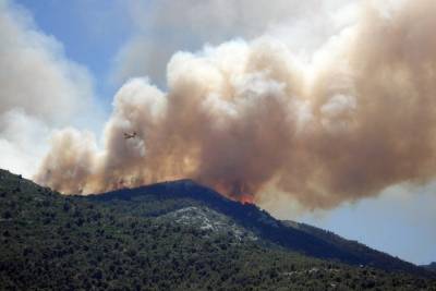 В Греции из-за жары вспыхнули лесные пожары