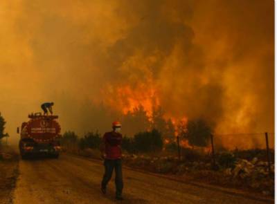 В Турции из-за стихийных бедствий запретили посещать леса