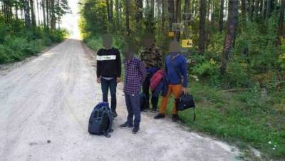 Представитель Службы охраны госграницы Литвы Мишутис: Если нелегалы раньше переходили границу ночью, то теперь круглые сутки