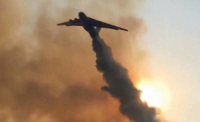 Почему российские самолеты тушат горящую Турцию, а не российскую тайгу?
