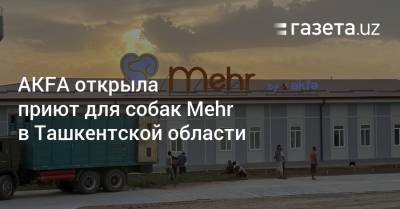 AKFA открыла приют для собак Mehr в Ташкентской области