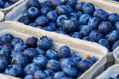 Почти 500 тонн свежих ягод ввезли в Псковскую область за июль