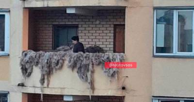 На балконе дома в Подмосковье заметили шкуры баранов