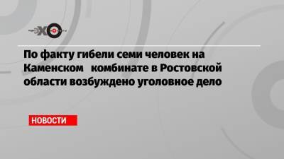 По факту гибели семи человек на Каменском комбинате в Ростовской области возбуждено уголовное дело