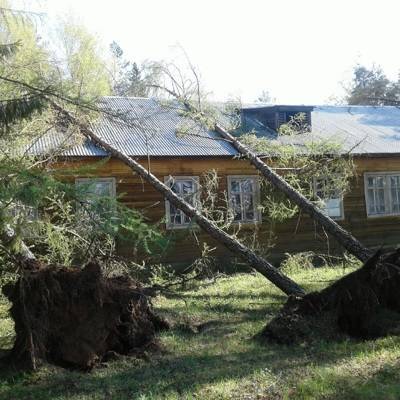 В Тверской области человек погиб из-за урагана