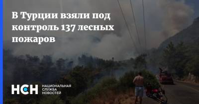 В Турции взяли под контроль 137 лесных пожаров