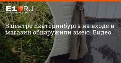 В центре Екатеринбурга на входе в магазин обнаружили змею. Видео