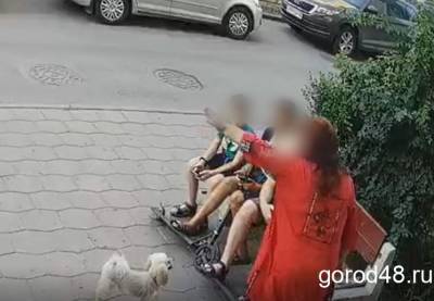В Липецке оштрафуют оскорблявшую детей женщину