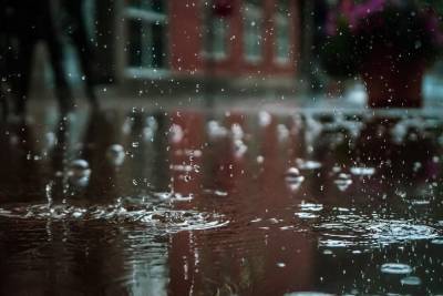 Кратковременные дожди не оставят в покое Смоленскую область 3 августа